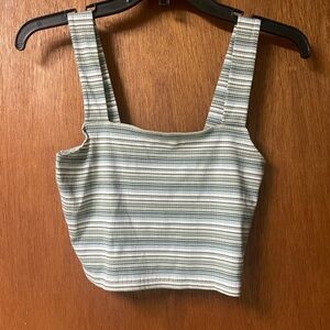 American Eagle Outfitters Blue and White Striped Crop Top